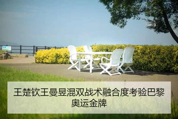 王楚钦王曼昱混双战术融合度考验巴黎奥运金牌