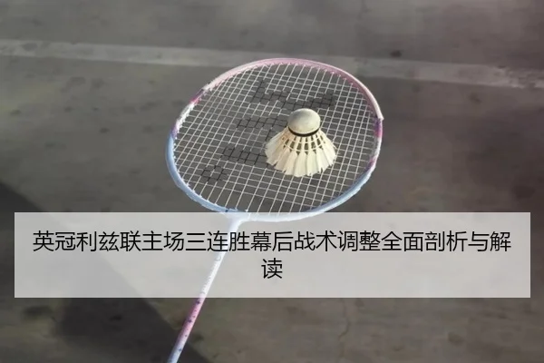 ying-guan-li-zi-lian-zhu-chang-san-lian-sheng-mu-hou-zhan-shu-tiao-zheng-quan-mian-pou-xi-yu-jie-du-3-324.jpg